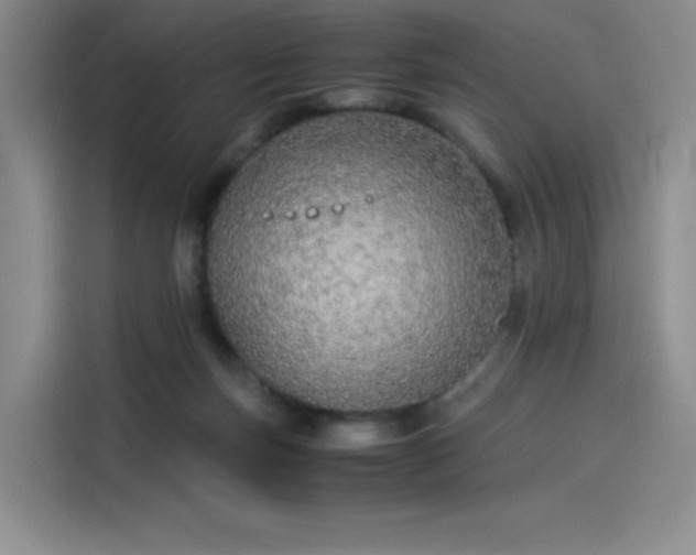 X0000114190171200910161212