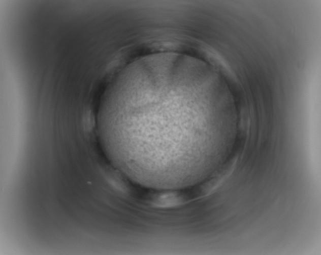 X0000114190173200910161212