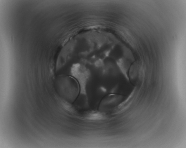 X0000114190175200910161212