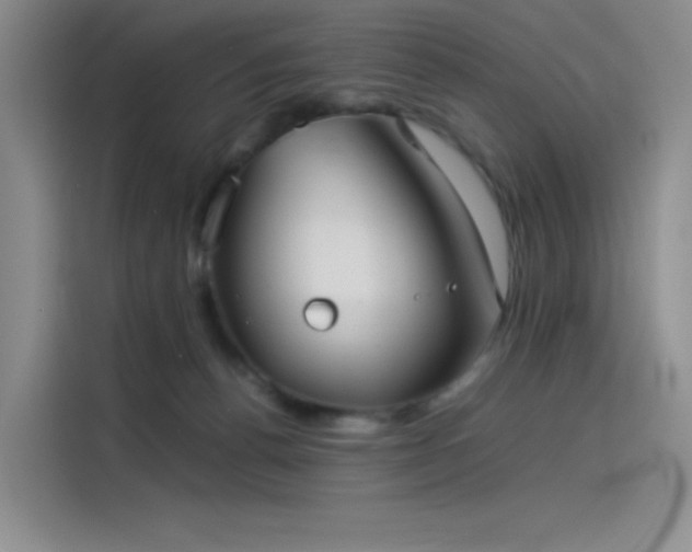 X0000114190176200910161212