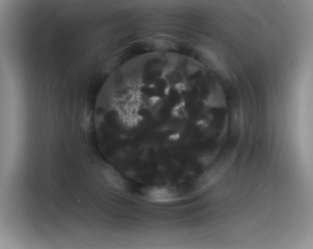 X0000114190177200910161212