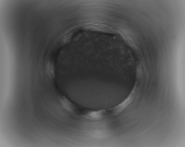 X0000114190178200910161212