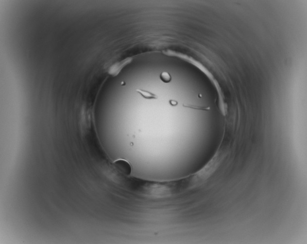 X0000114190180200910161212