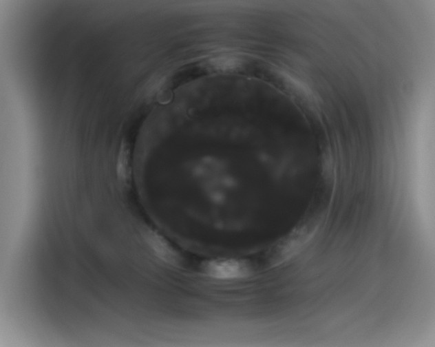 X0000114190181200910161212