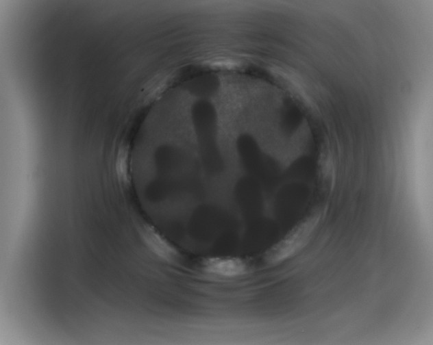 X0000114190185200910161212