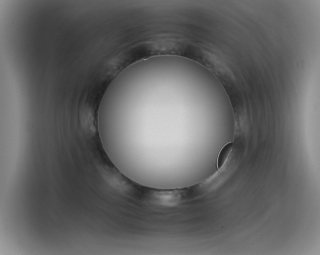 X0000114190187200910161212