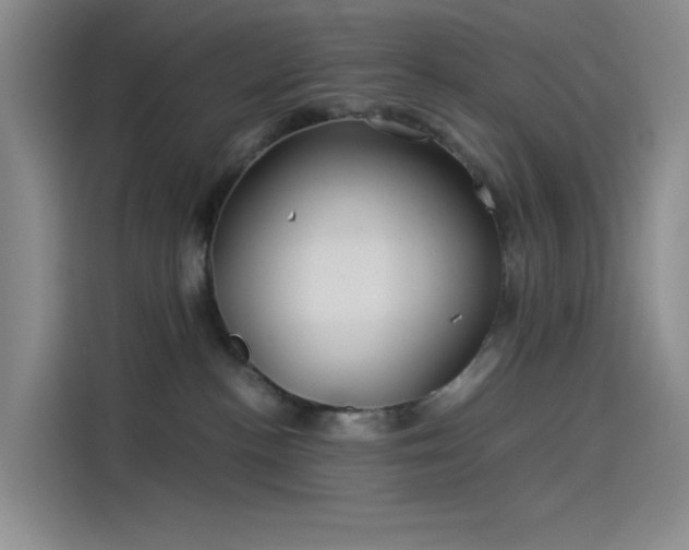 X0000114190188200910161212