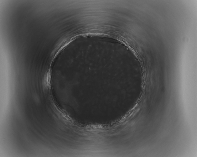 X0000114190194200910161211