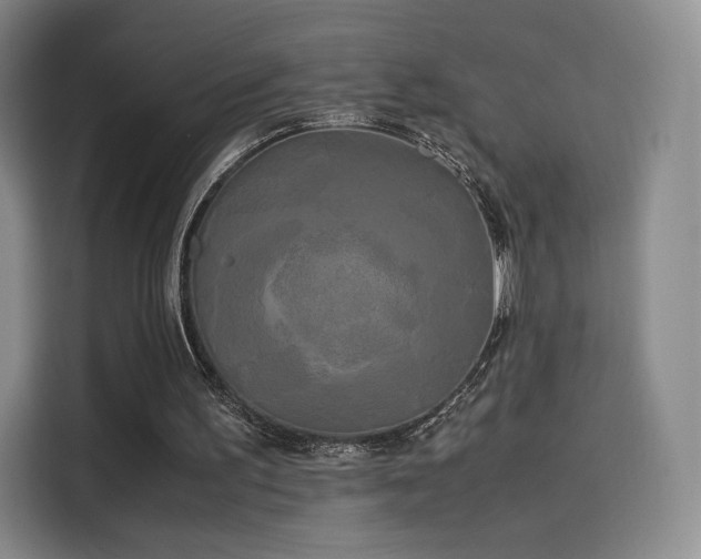 X0000114190195200910161211
