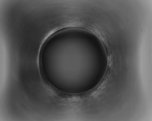 X0000114190196200910161211