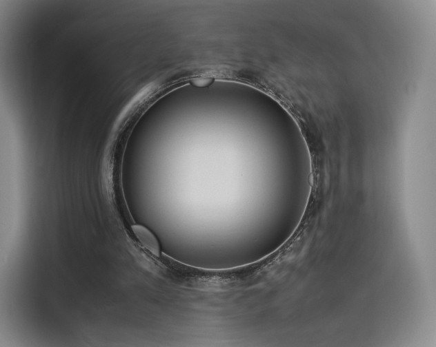 X0000114190197200910161211