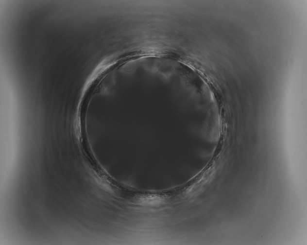 X0000114190198200910161211
