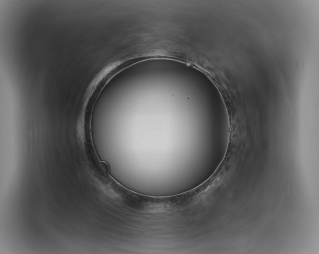 X0000114190200200910161211