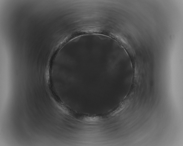 X0000114190202200910161211