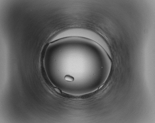 X0000114190203200910161211