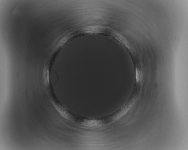 X0000114190205200910161211