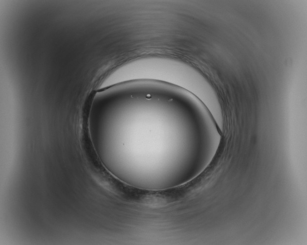 X0000114190207200910161211