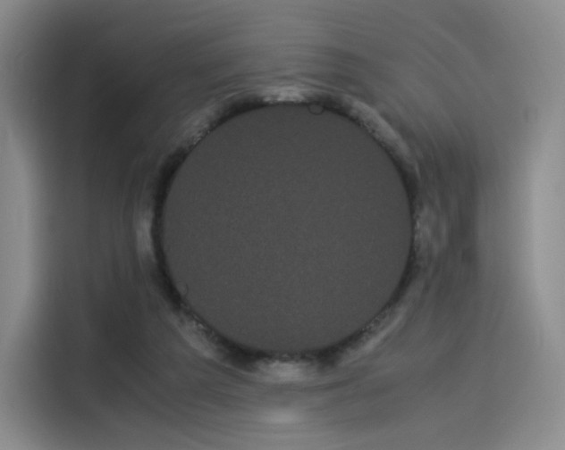 X0000114190209200910161211