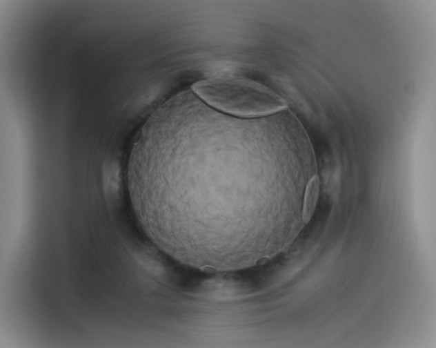 X0000114190211200910161211
