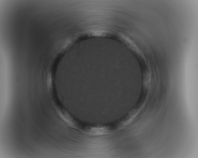 X0000114190213200910161211