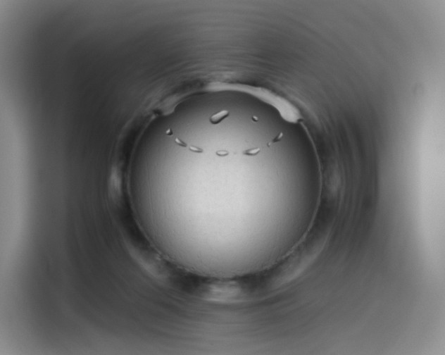 X0000114190214200910161211