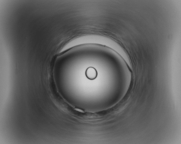 X0000114190215200910161211