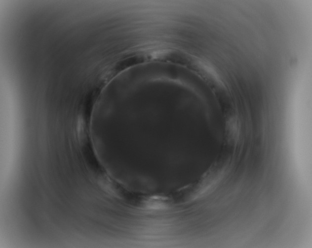X0000114190222200910161211
