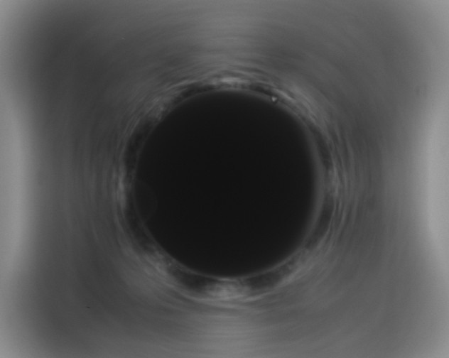 X0000114190223200910161211