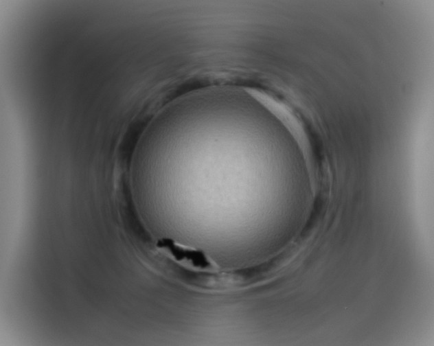 X0000114190225200910161211
