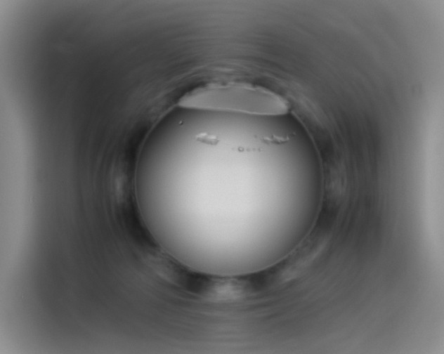 X0000114190226200910161211