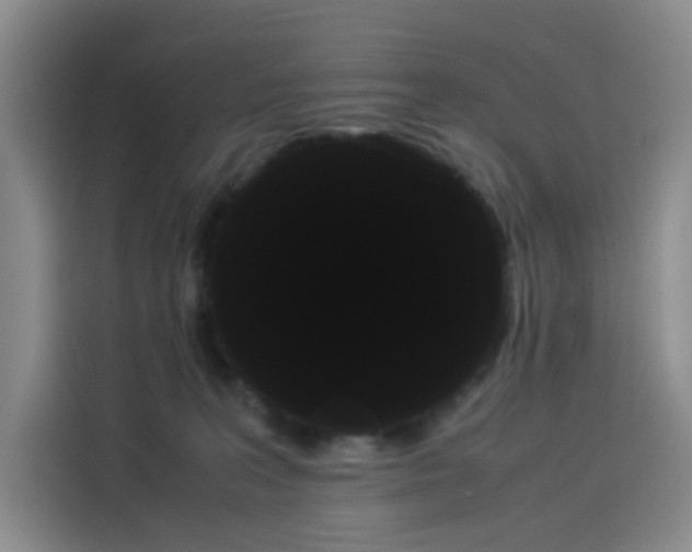 X0000114190227200910161211