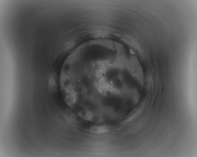 X0000114190228200910161211