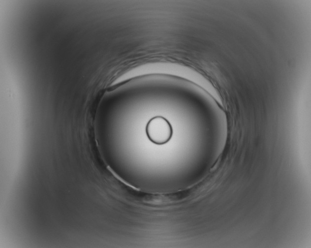 X0000114190229200910161211