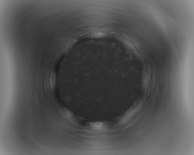 X0000114190230200910161211