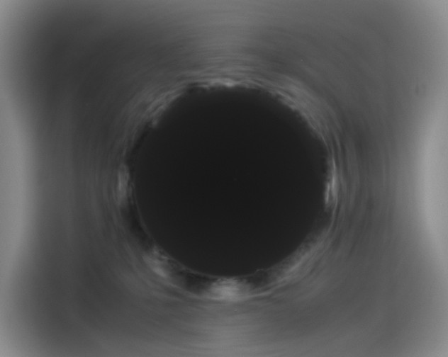 X0000114190231200910161211