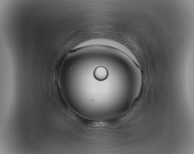 X0000114190233200910161211