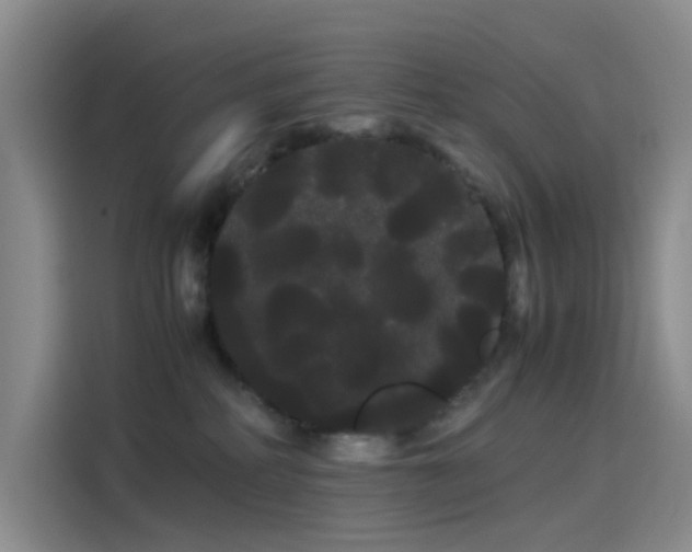 X0000114190234200910161211