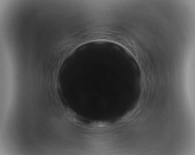X0000114190235200910161211