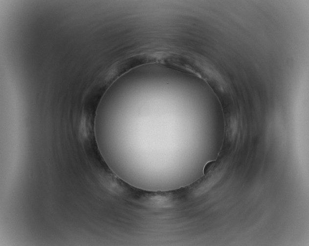 X0000114190236200910161211