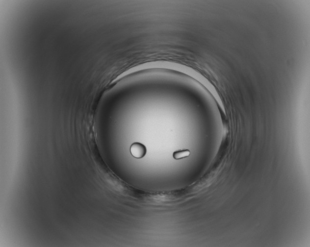 X0000114190237200910161211