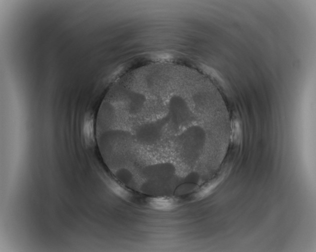 X0000114190238200910161211