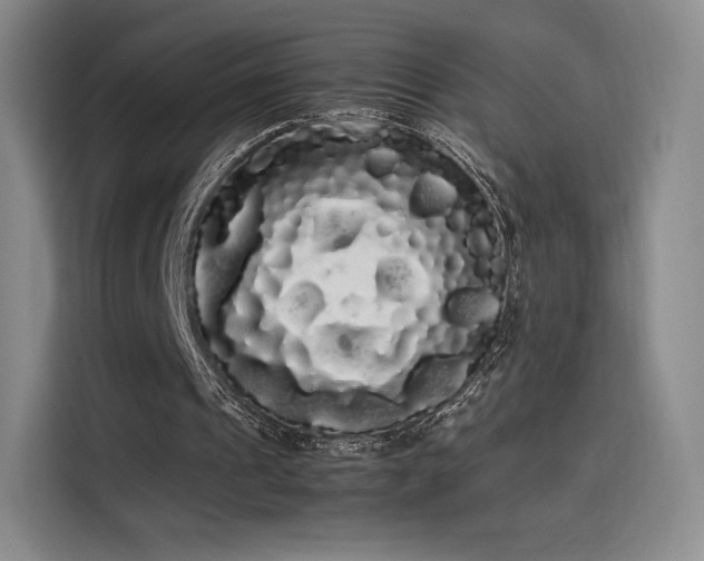 X0000114190241200910161210