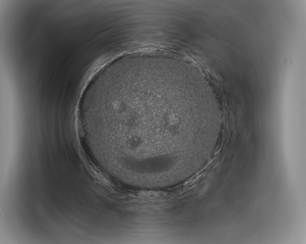 X0000114190242200910161210