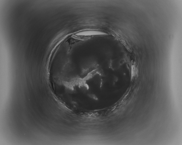 X0000114190243200910161210
