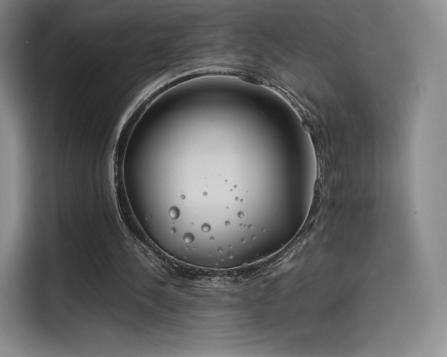X0000114190244200910161210