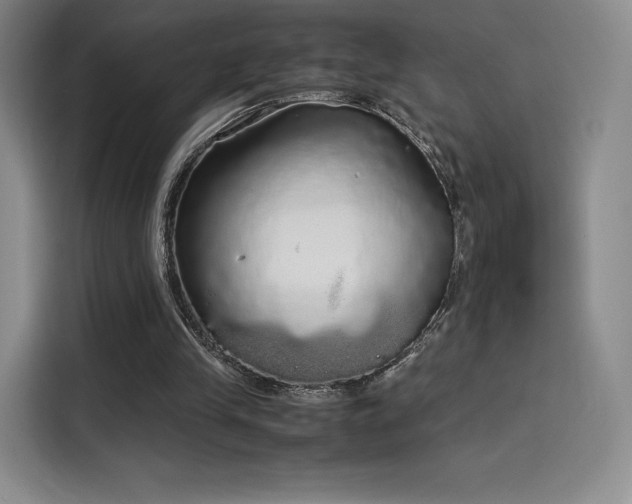X0000114190245200910161210