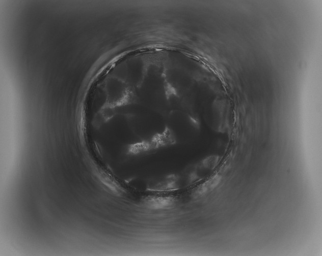 X0000114190247200910161210