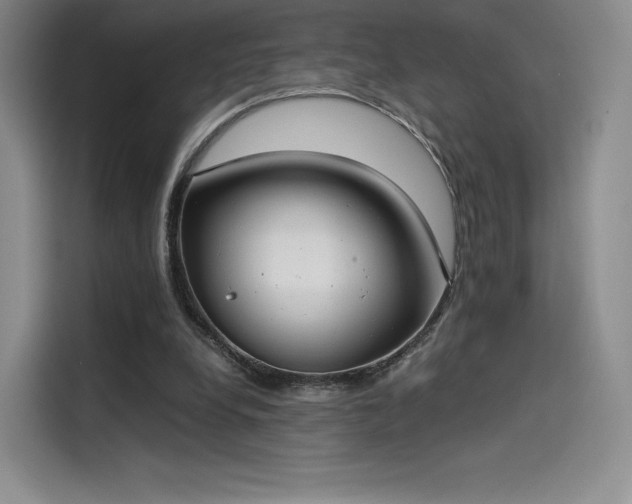 X0000114190248200910161210