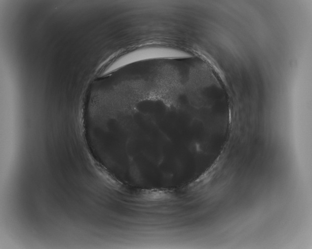 X0000114190249200910161210