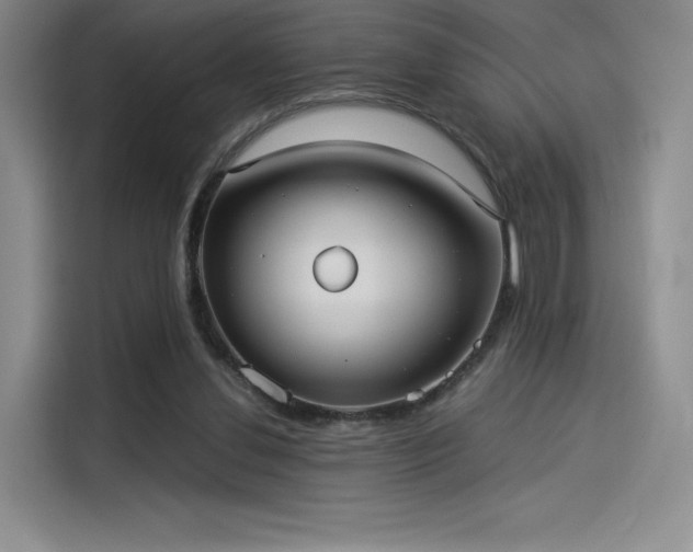 X0000114190252200910161210
